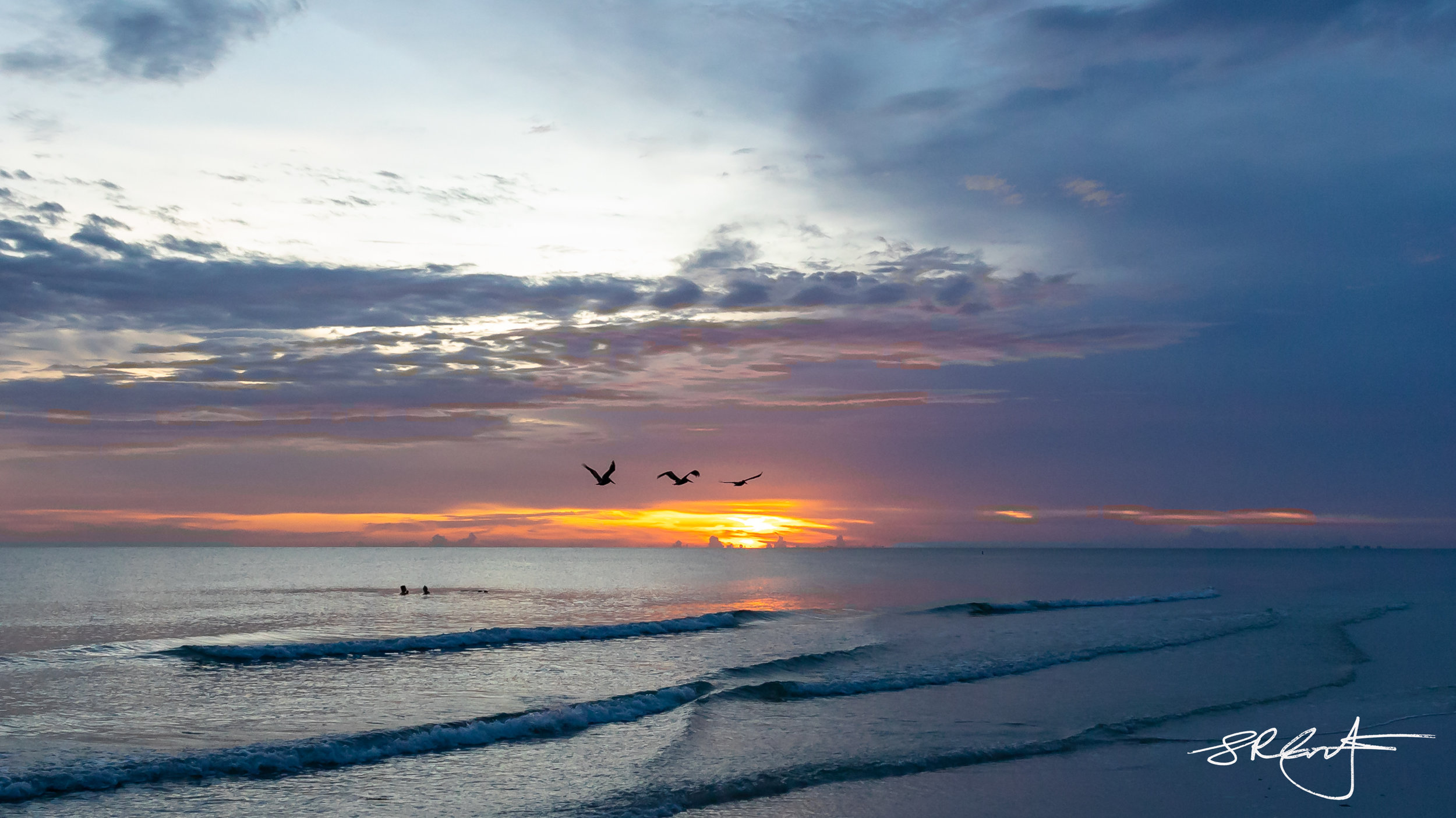 Pelican Sunset.