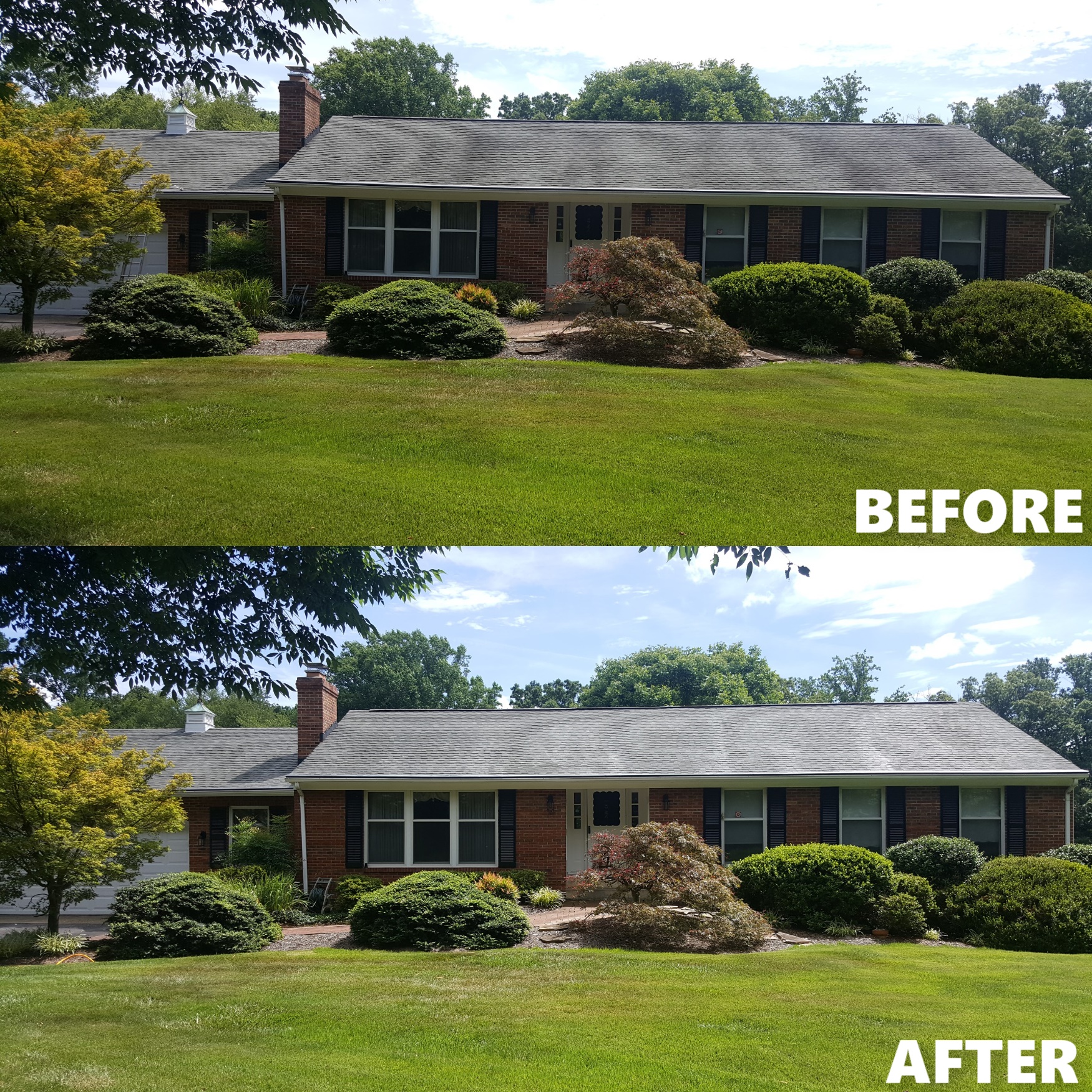 ROOF BEFORE AND AFTER 3 .jpg