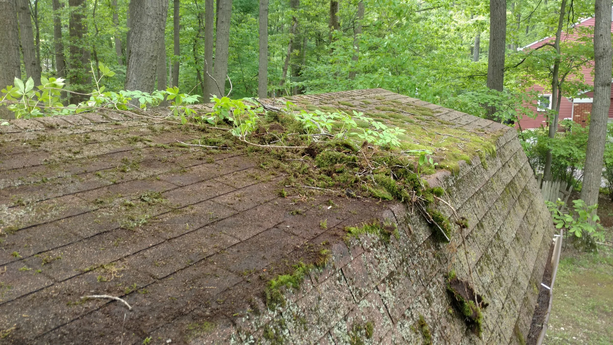 Roof Cleaning Baltimore MD