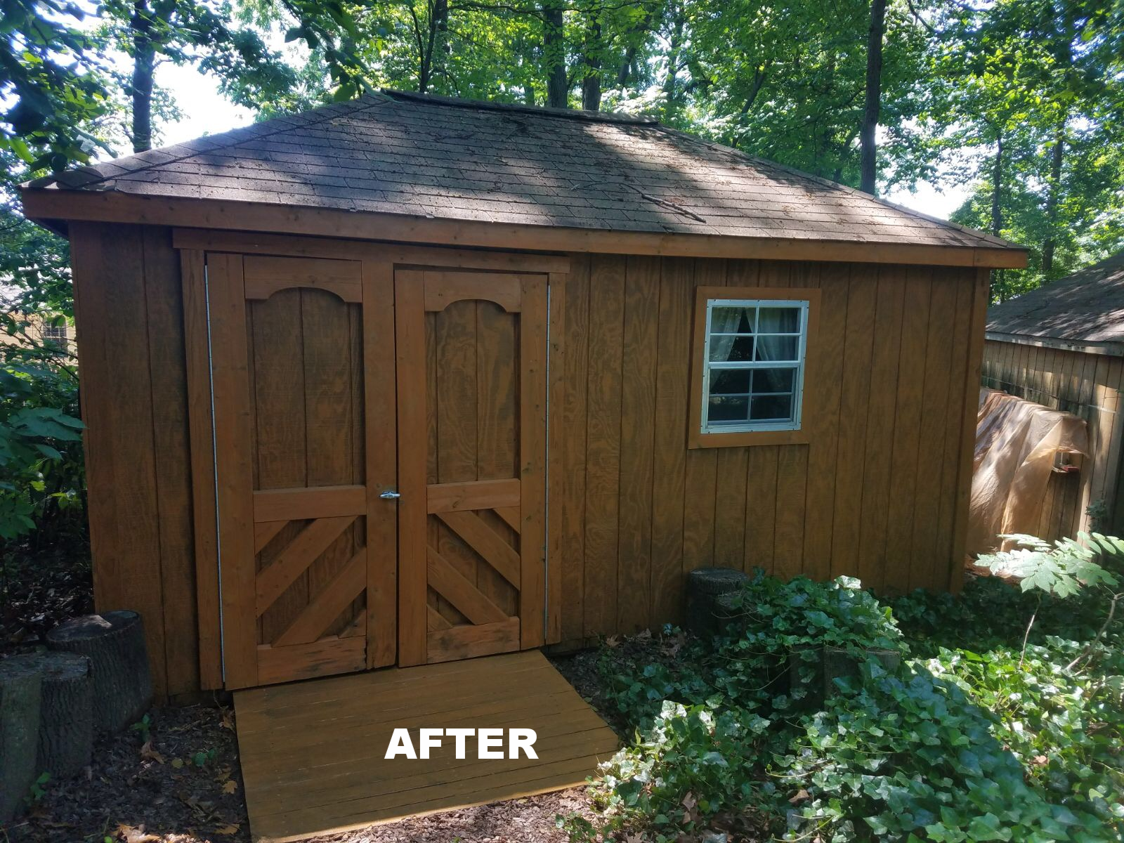 Copy of woodshed