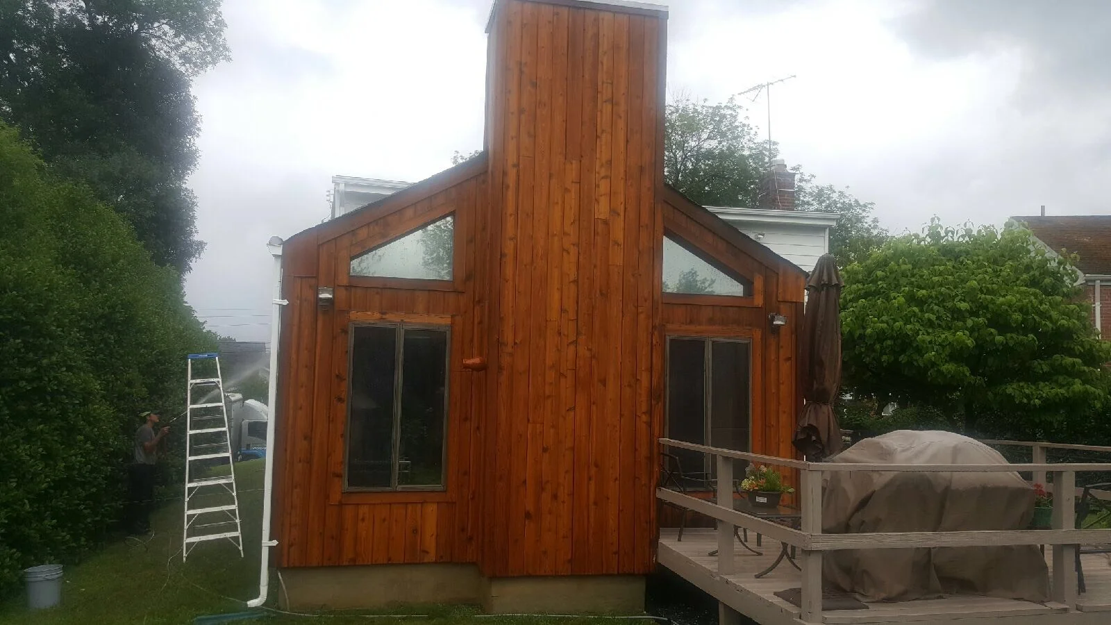 Cedar Siding