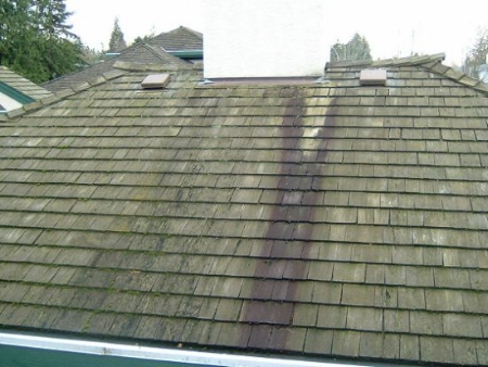 mildew.roof.jpg