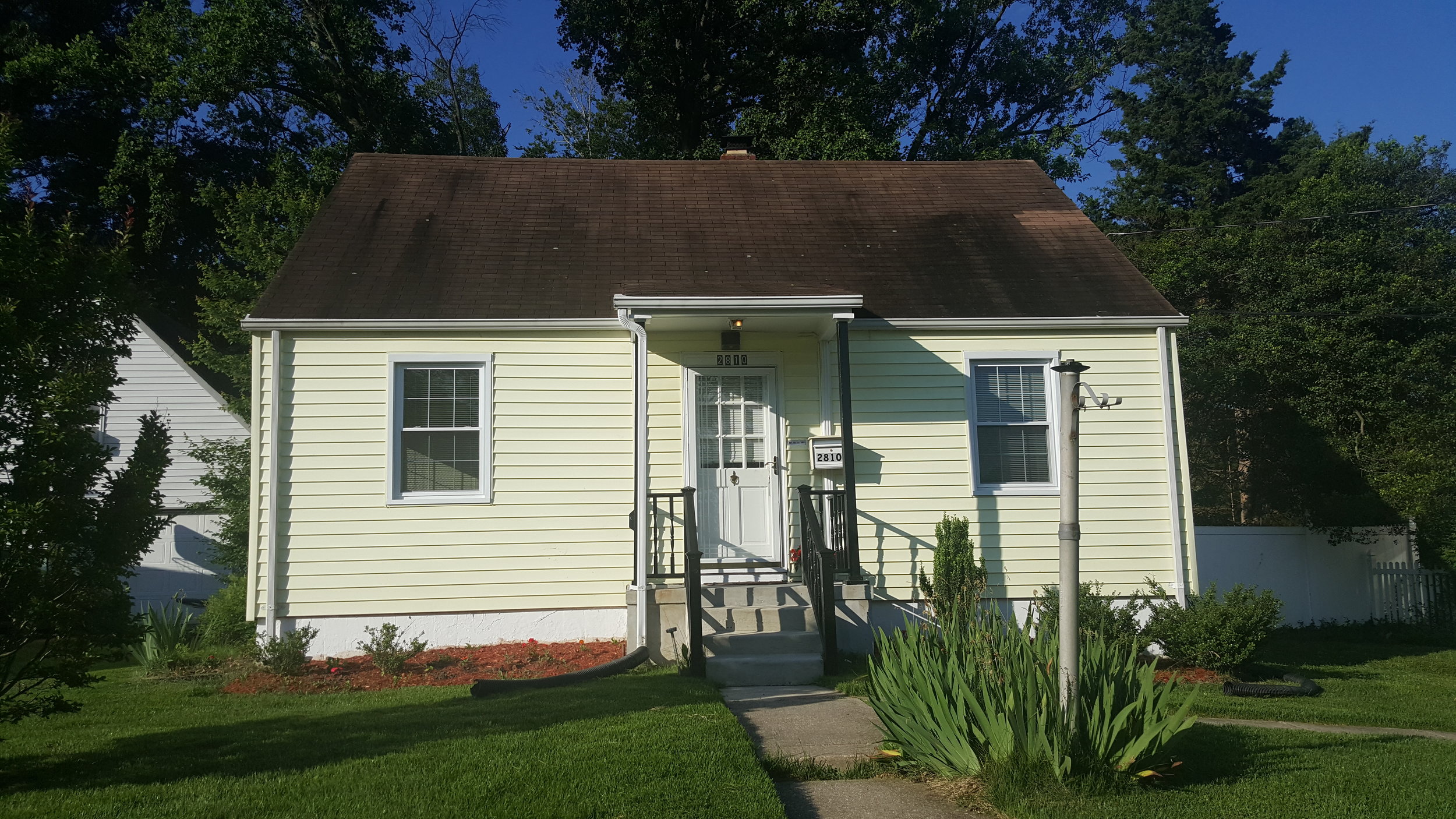 Roof cleaning services