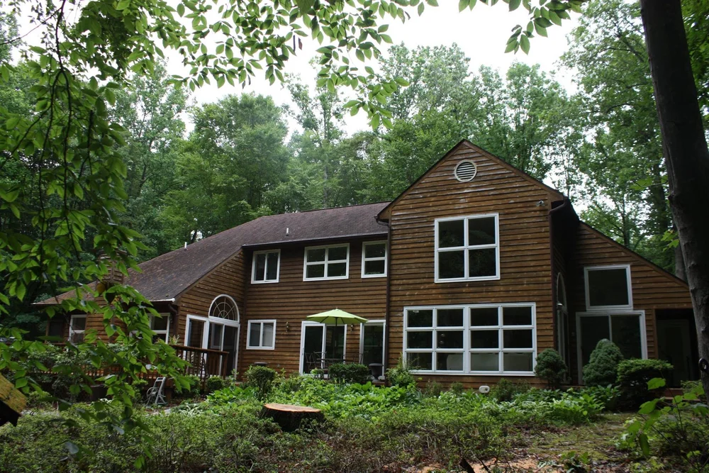 Notice here how the rear roof, which faces the open clearing, has little to no serious moss build up.