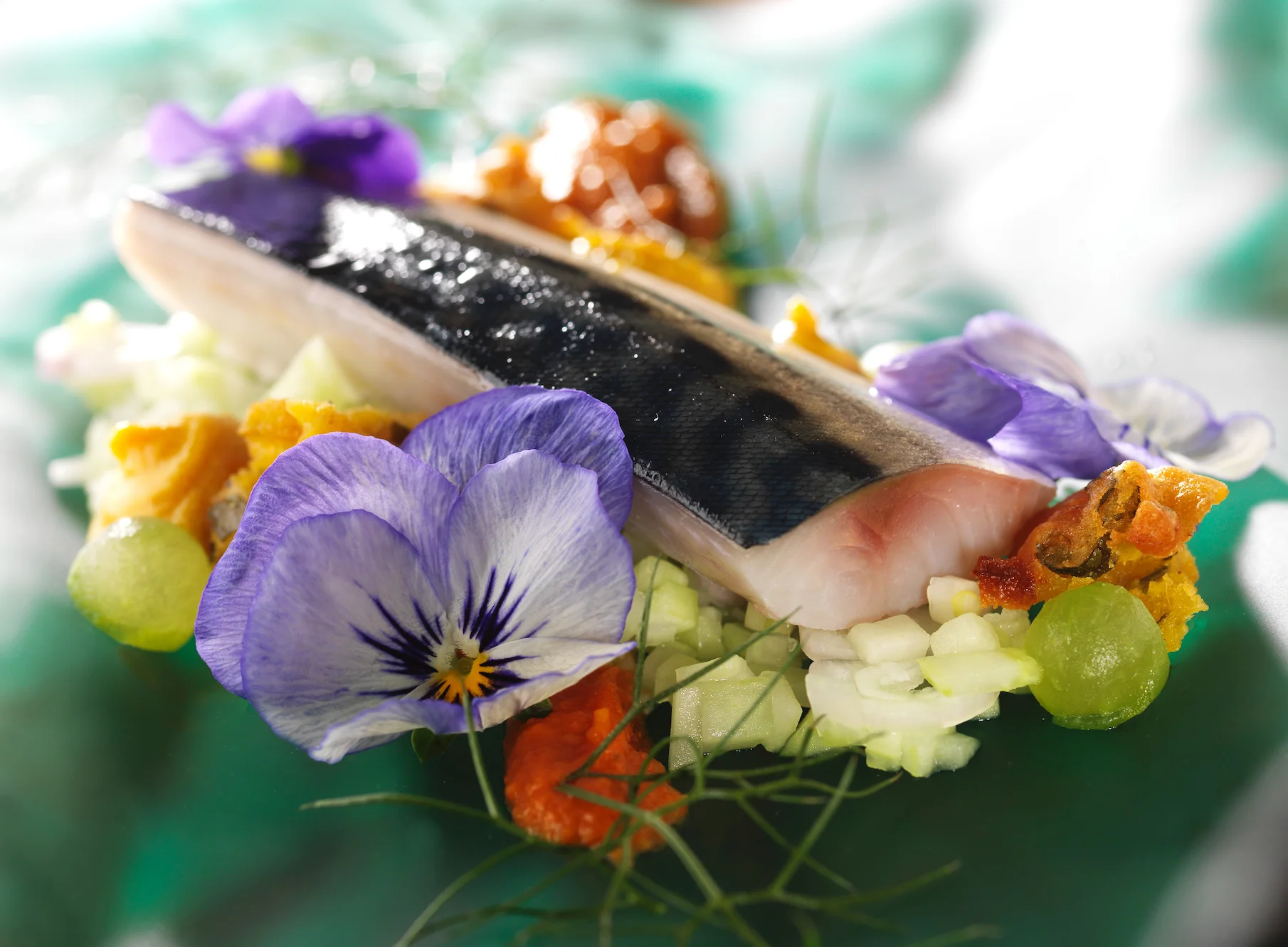 Mackerel.jpg
