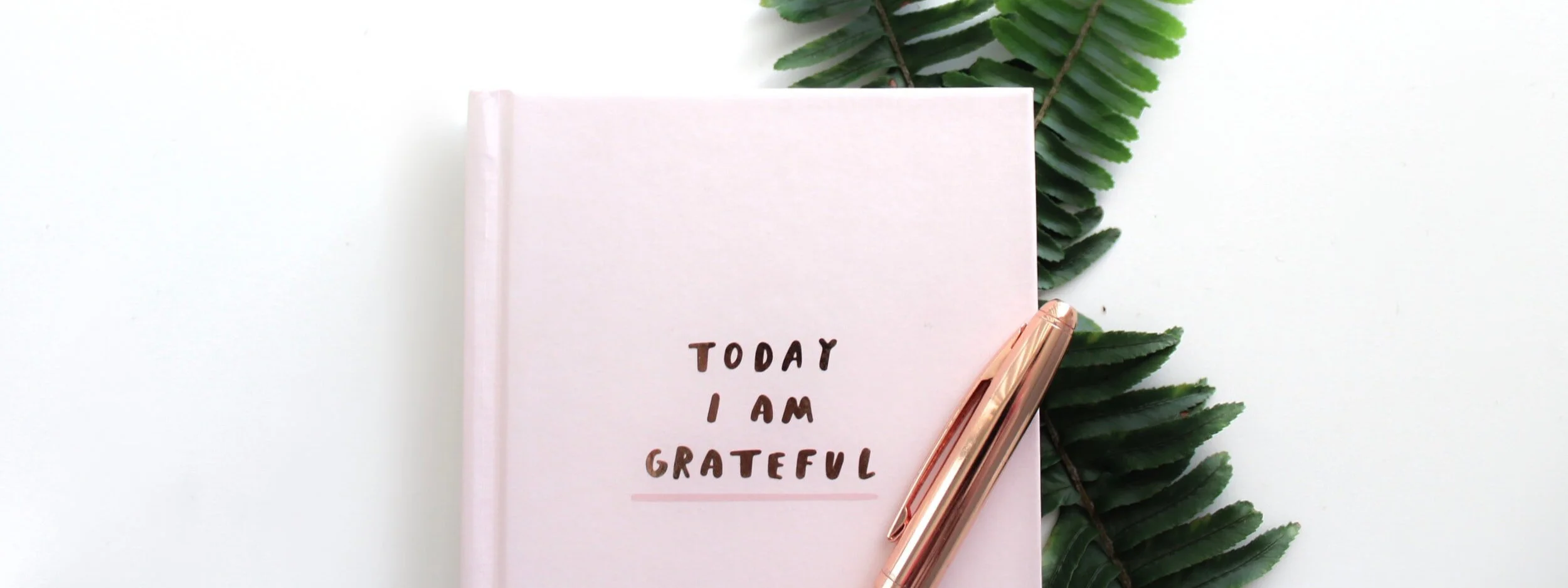      

 
   I woke up smiling. I have no idea what I dreamed of last night, but it woke me up with a smile.&nbsp; I love that when that happens. I laid there trying to remember any part of my dreams…there was nothing.&nbsp; Oh well, guess I’ll keep t