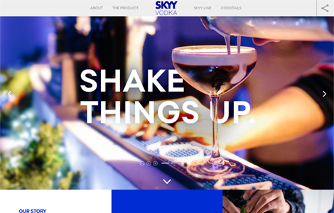 SKYY WEBSITE