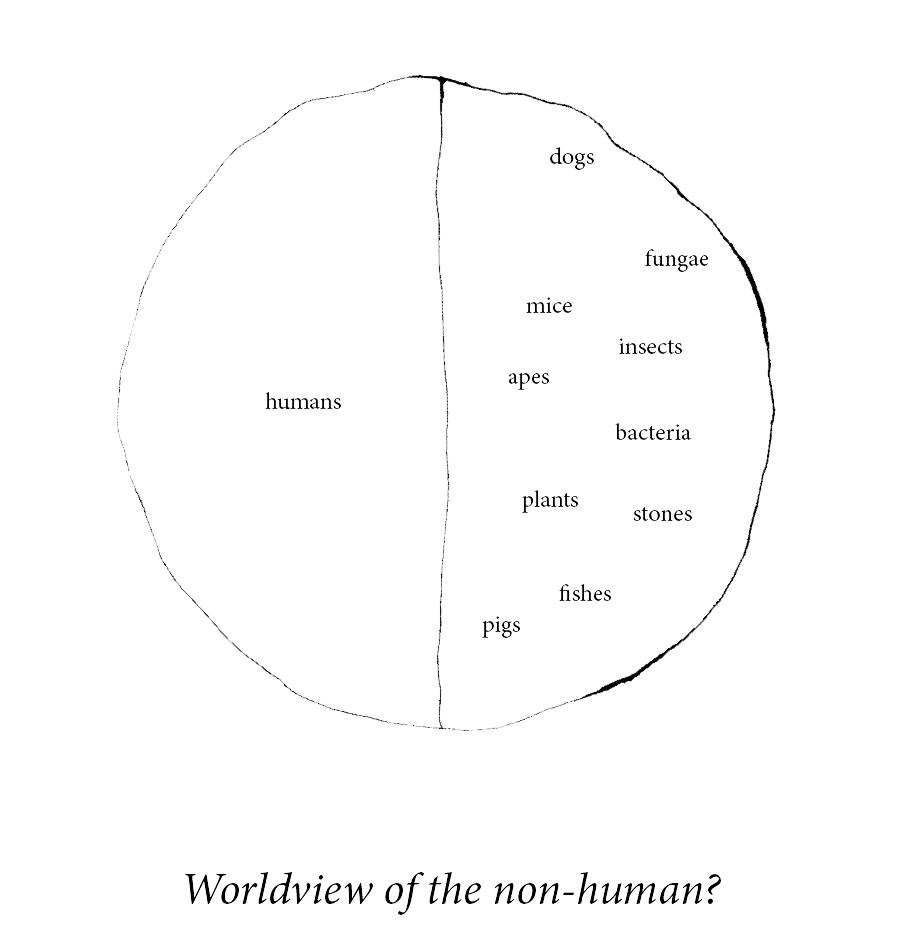 anthropocentrism2.png
