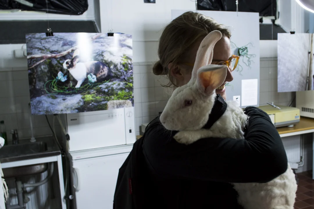 Rabbit visiting the exhibition