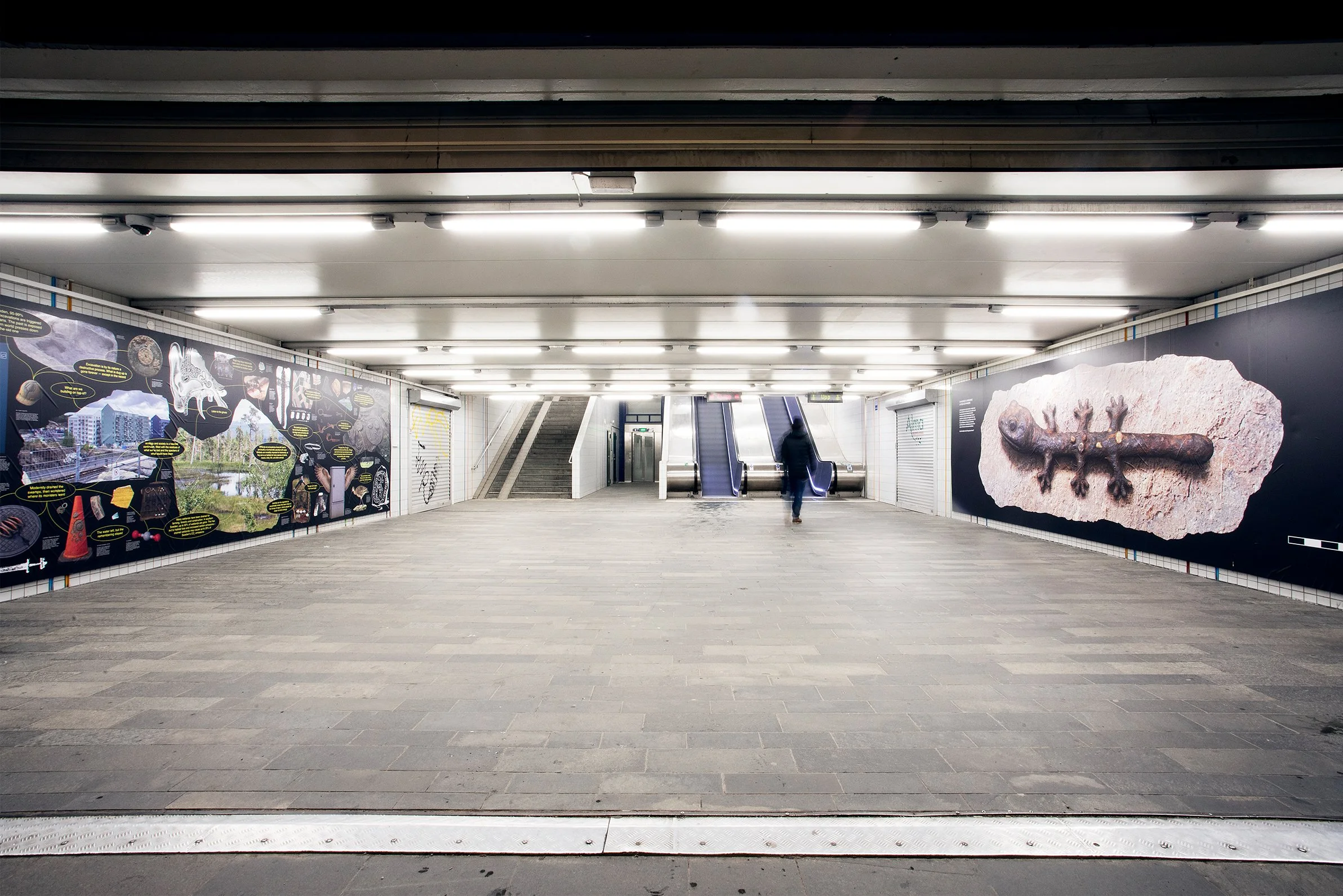 Photo by Weronika Bela