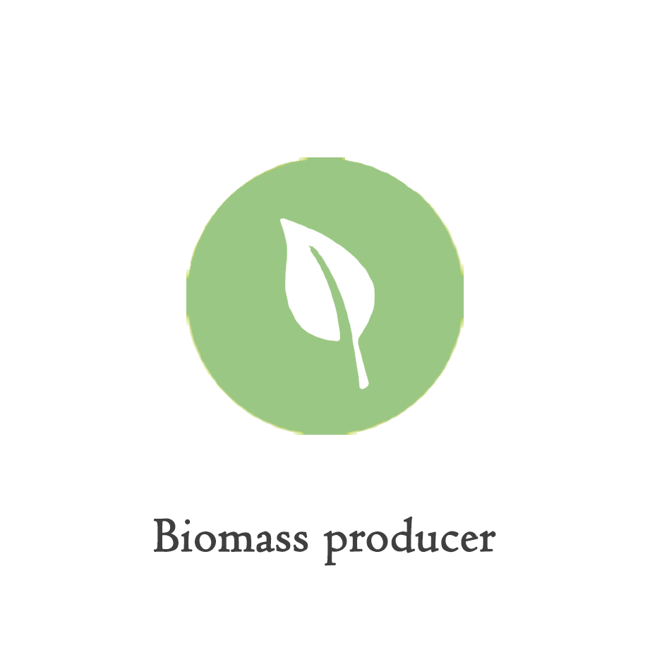 ICON_biomass-producer.png