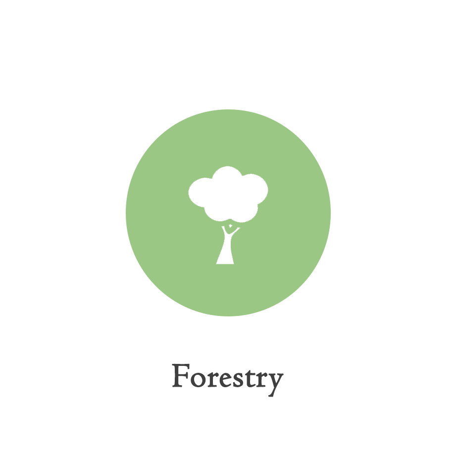 ICON_forestry.png