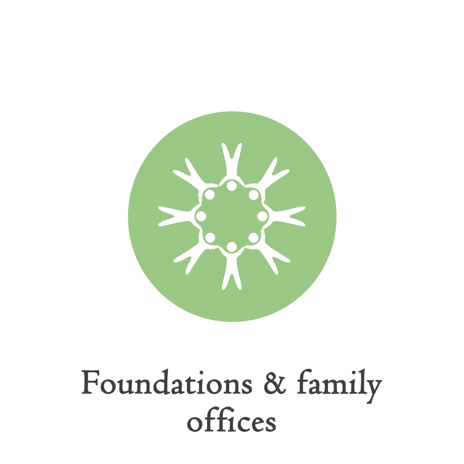foundations_icon.png