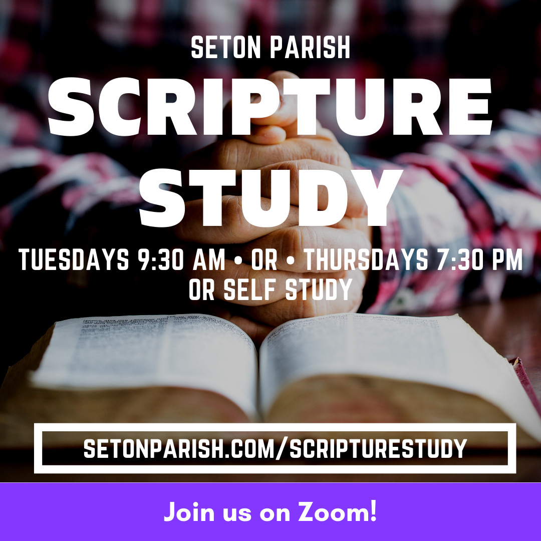 Scripture Study
