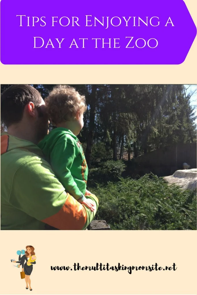 Tips for Enjoying a Day at the Zoo