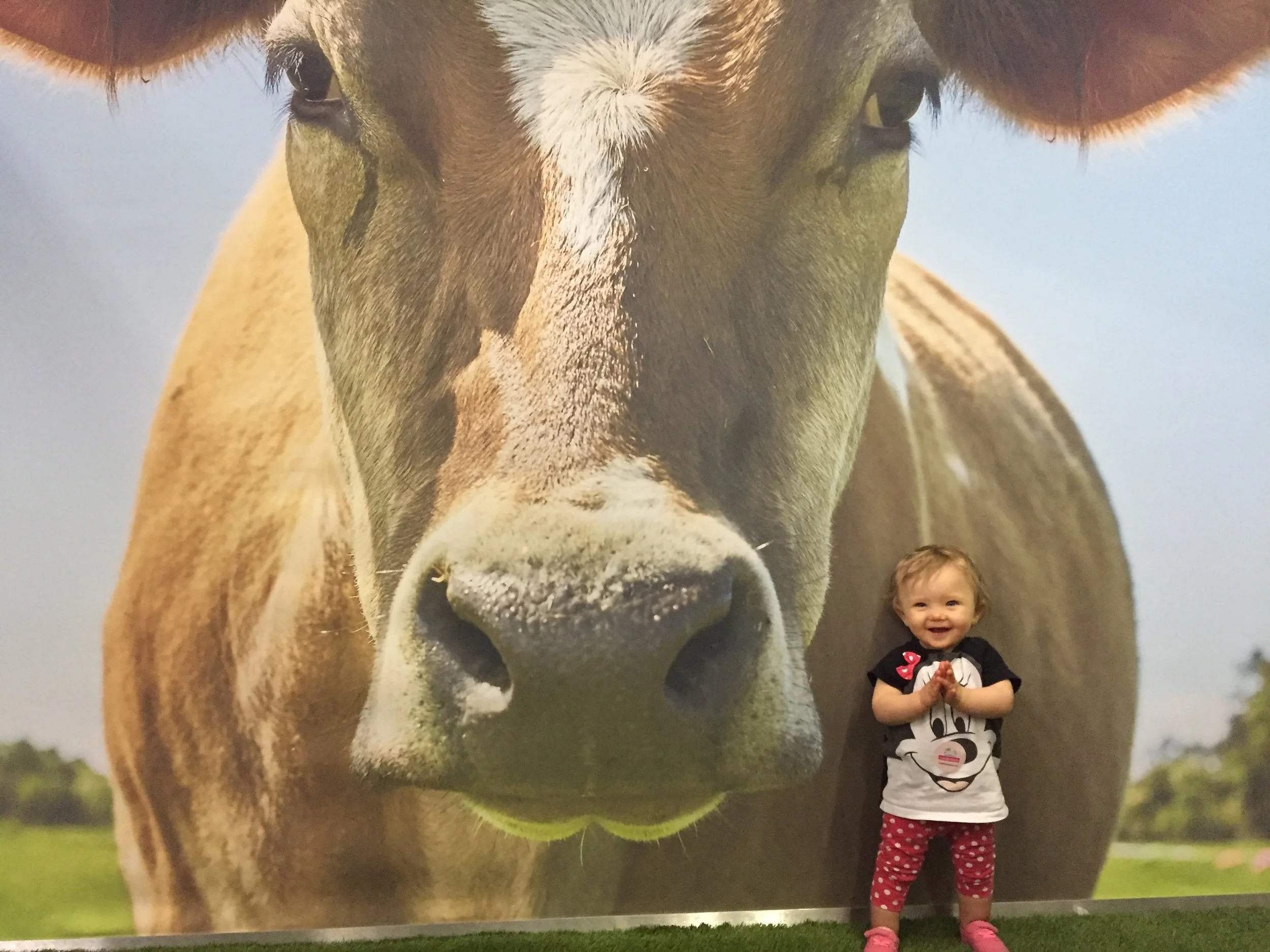 New York Baby SHow Recap