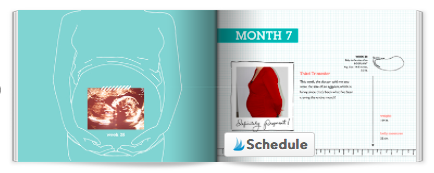 online pregnancy journal