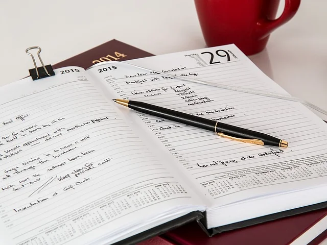 Daily schedule/planner