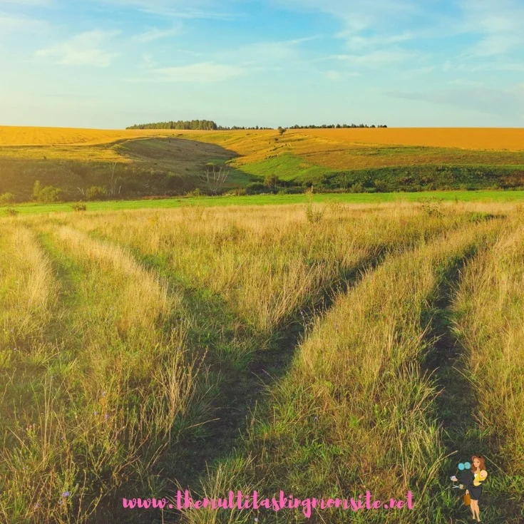 Which Pain Are You Choosing For Yourself?