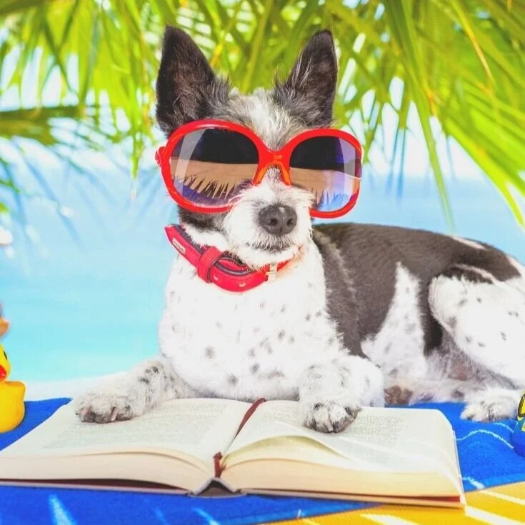 Summer 2020 Reading List for Moms