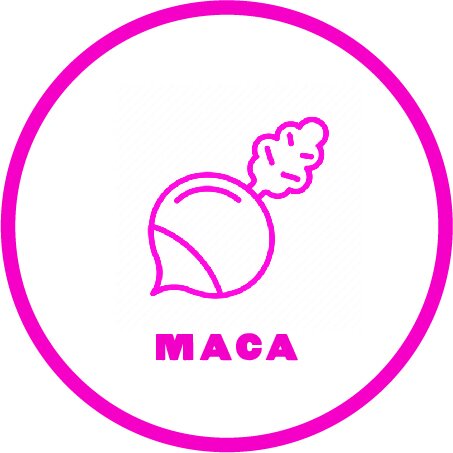 Superfood_Icons_ForWeb_Maca_2022.jpg