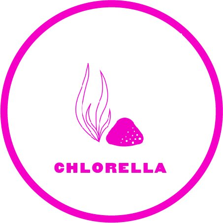 Superfood_Icons_ForWeb_Chlorella_2022.jpg