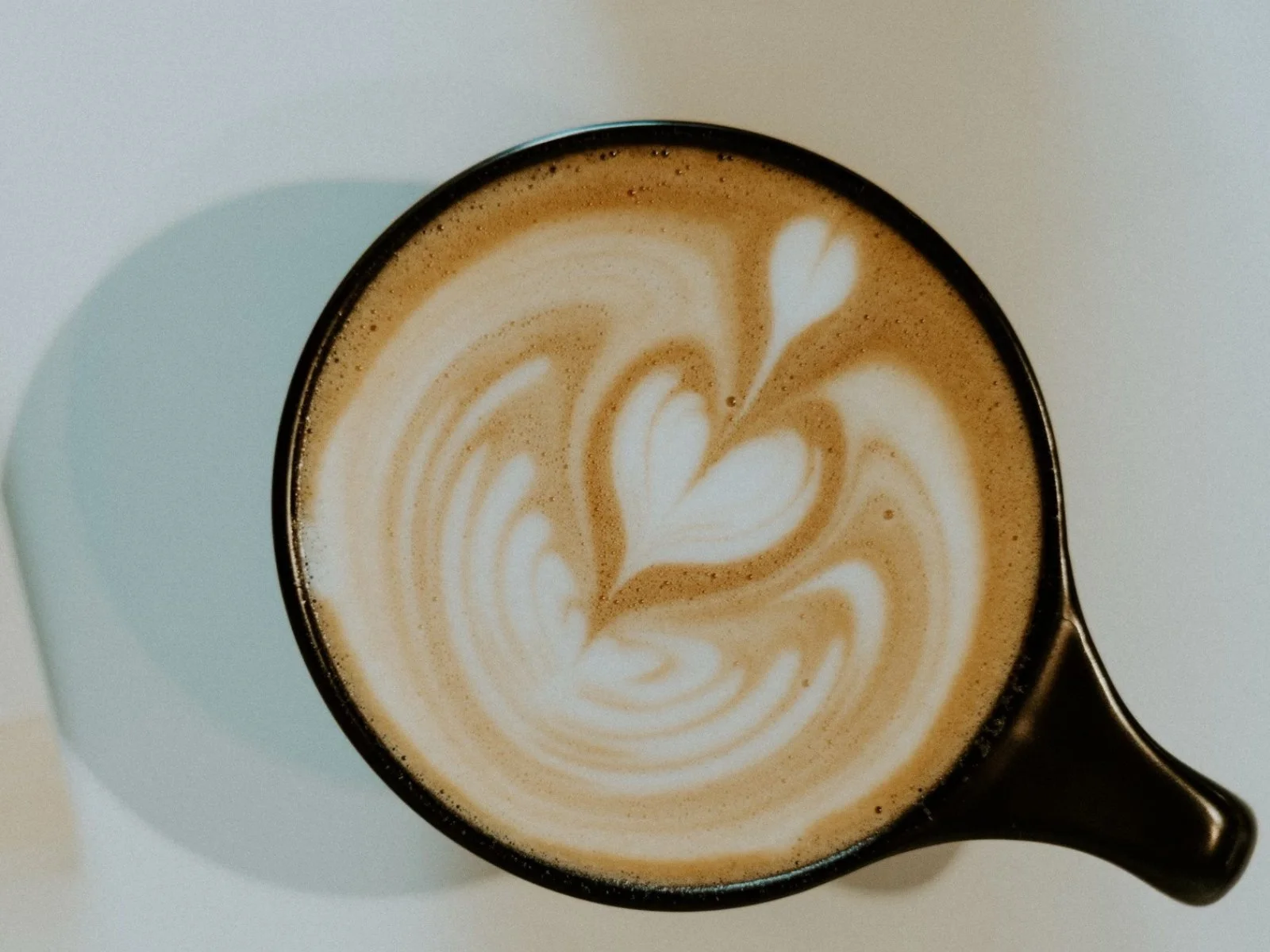 aromas cortado.jpeg
