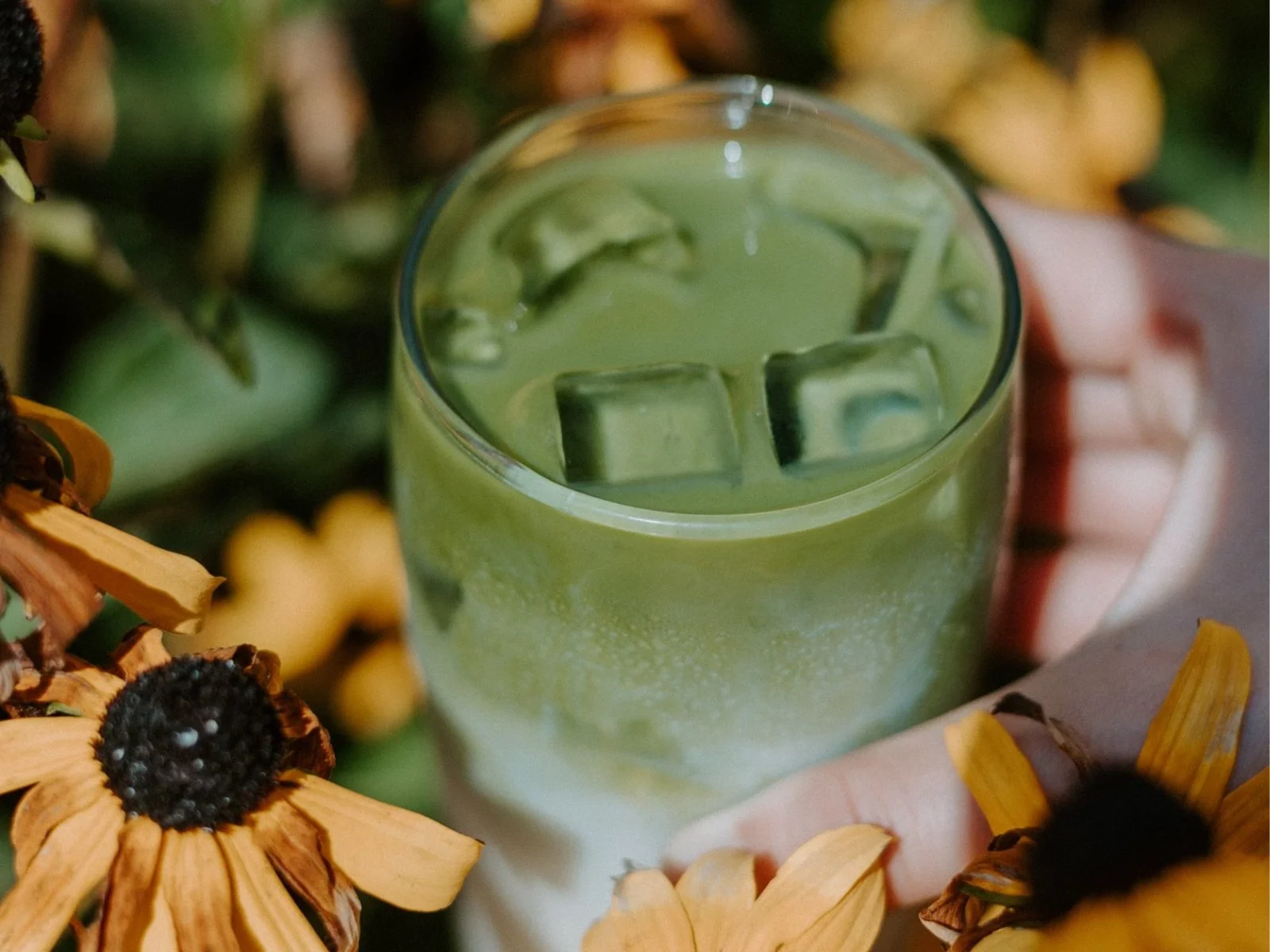 matcha latte.jpeg