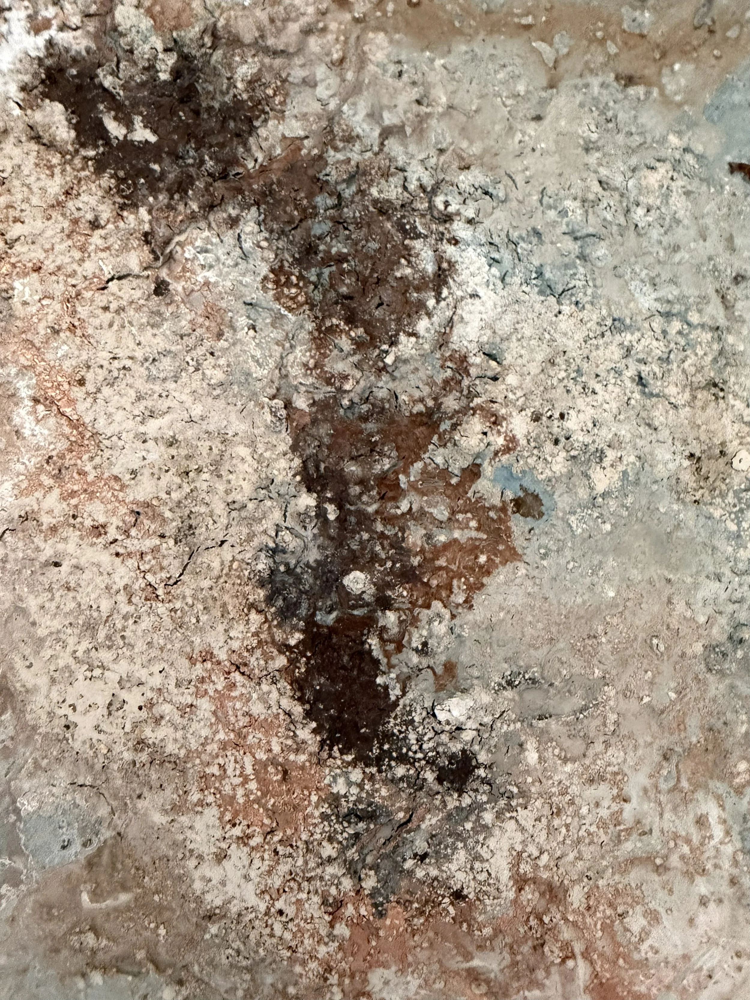RhizomaesandReason_MixedMediaonWoodPanel_24x36x1-5_2026_detail9.jpg