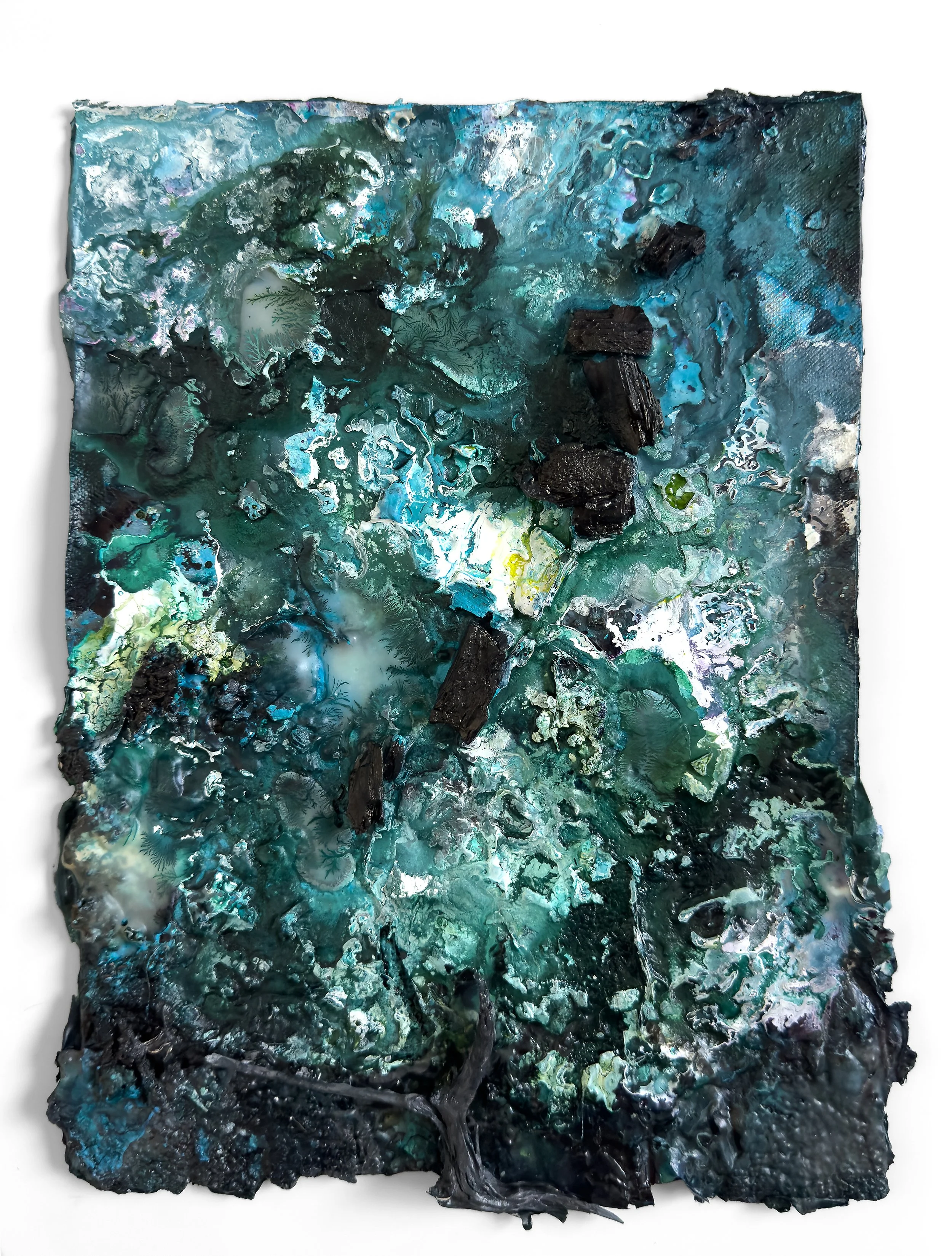 KatherineFilice_AViewFromTheMoon_No6)Inkcharcoalfoundobjectsonvanvas_13-5x10-5x1_2025_Primary_MedRes.jpg