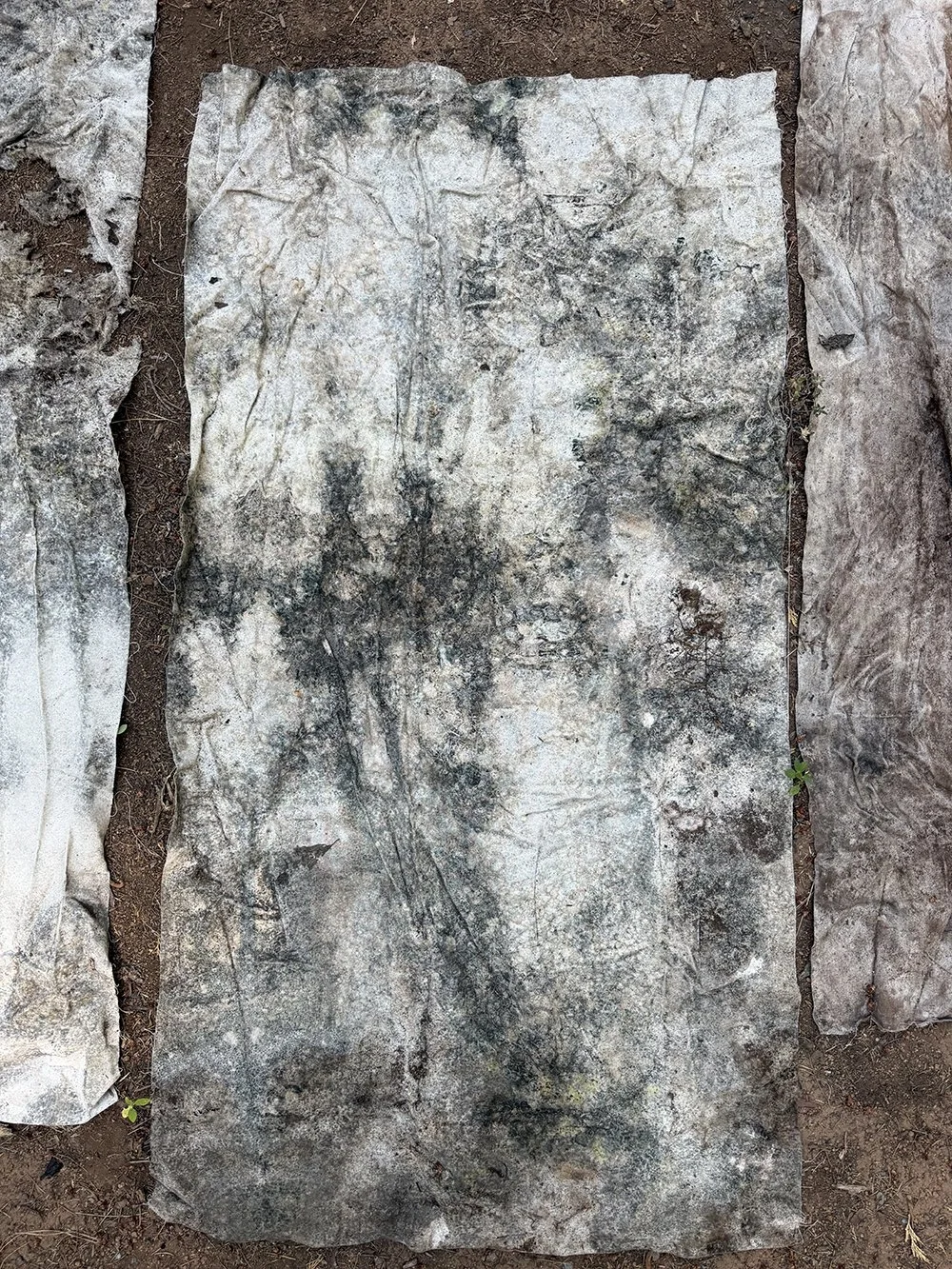 Site #1 2025 Winter Test. Canvas weight variation; foliage wrapped