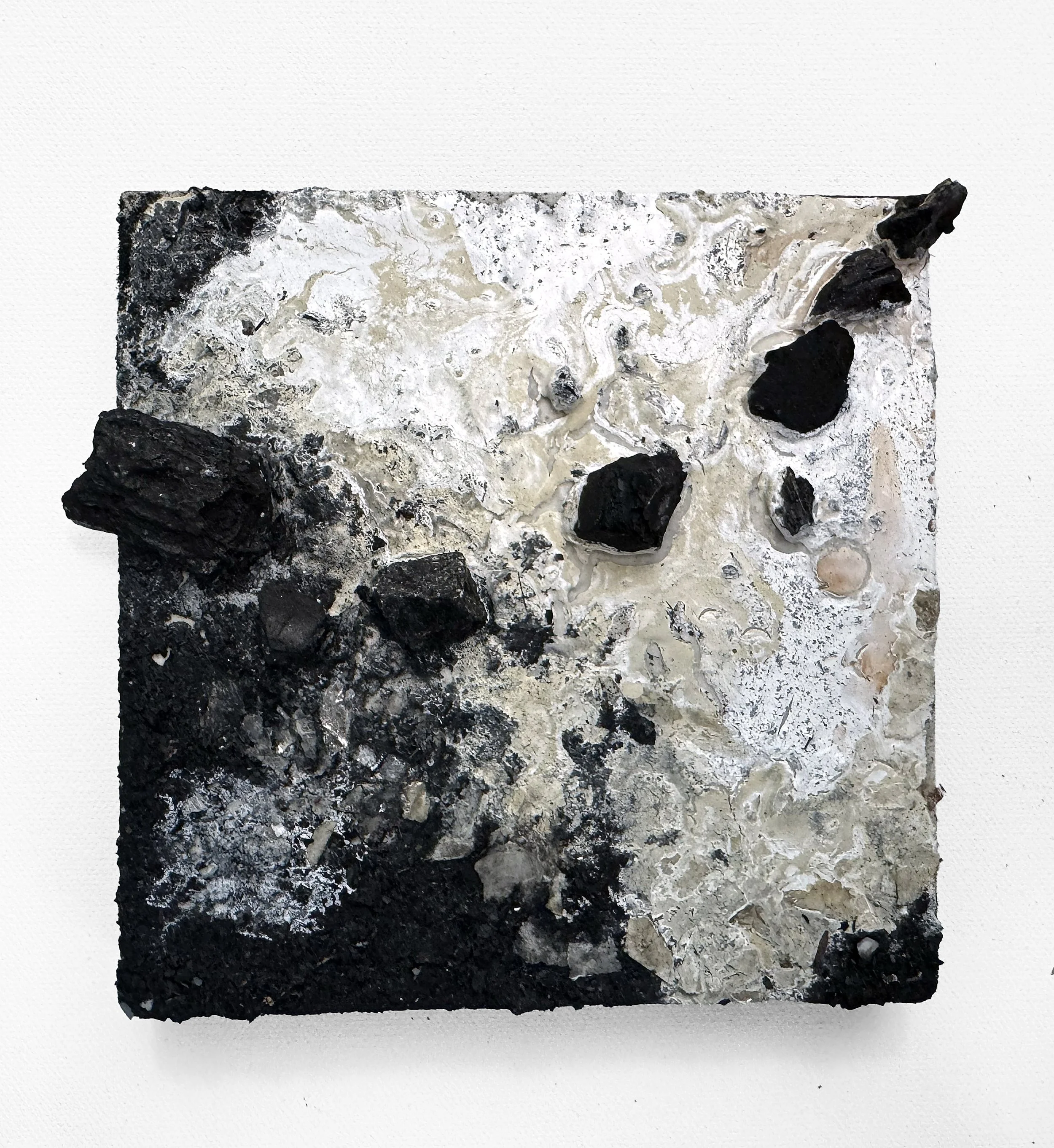 Signs of Life (No. 3)