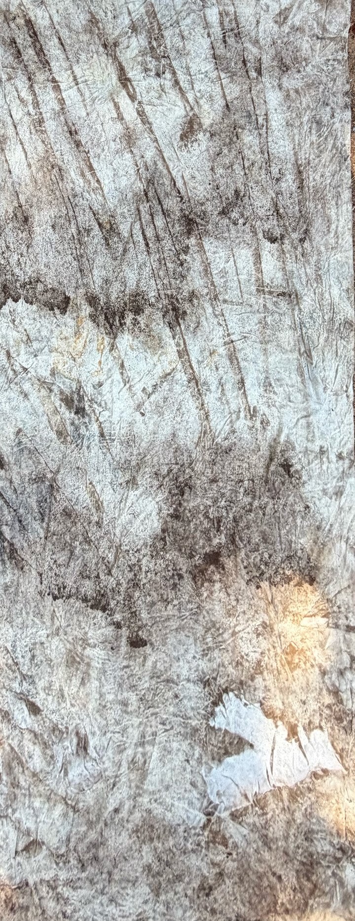 Site #1 2025 Winter Test. Canvas weight variation