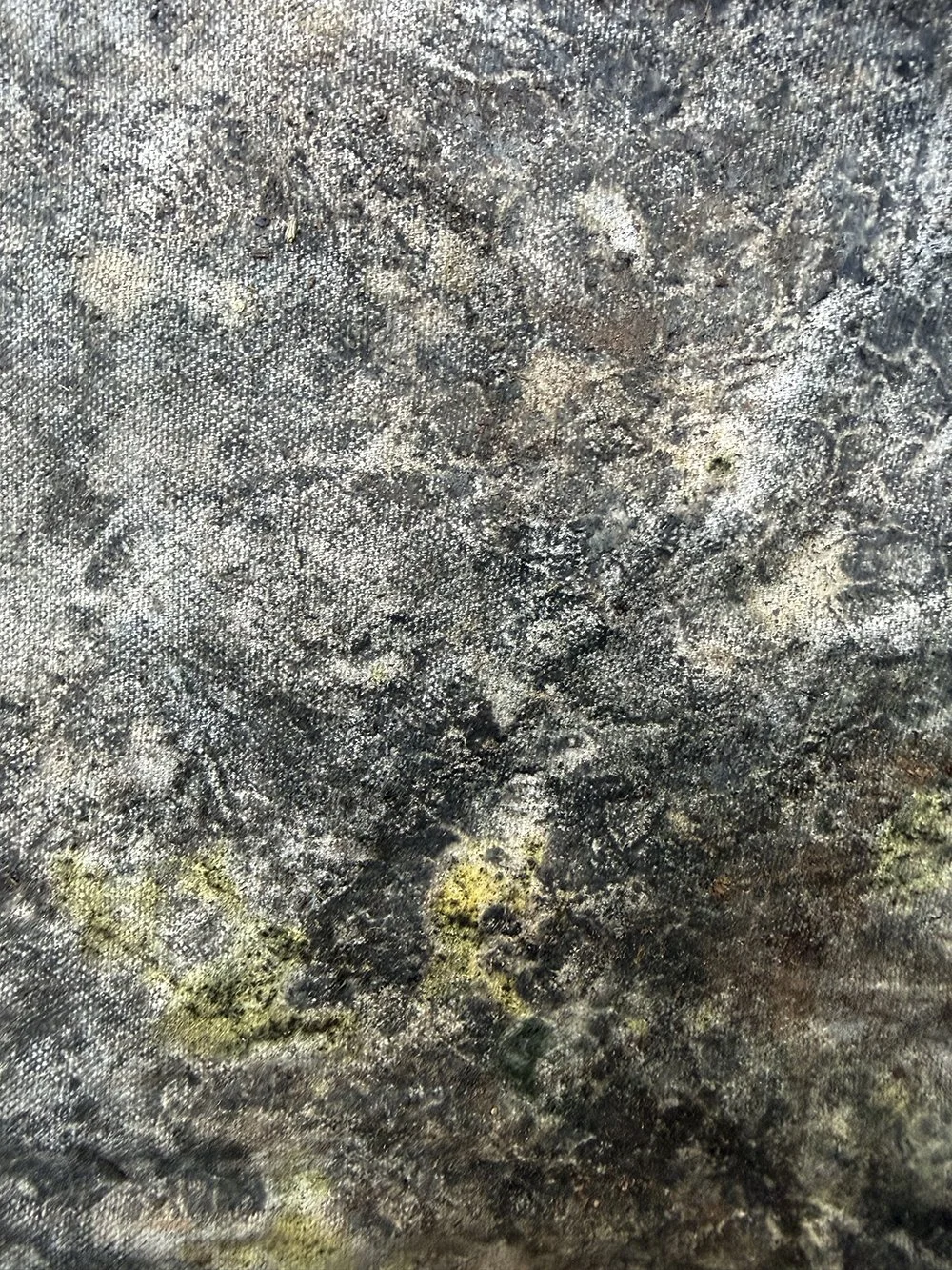 Site #1 2025 Winter Test. Canvas weight variation; foliage wrapped