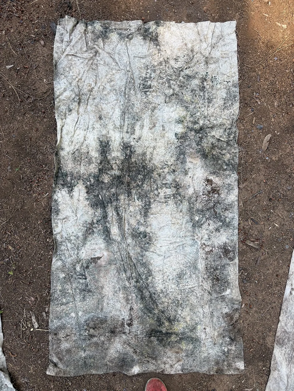Site #1 2025 Winter Test. Canvas weight variation; foliage wrapped