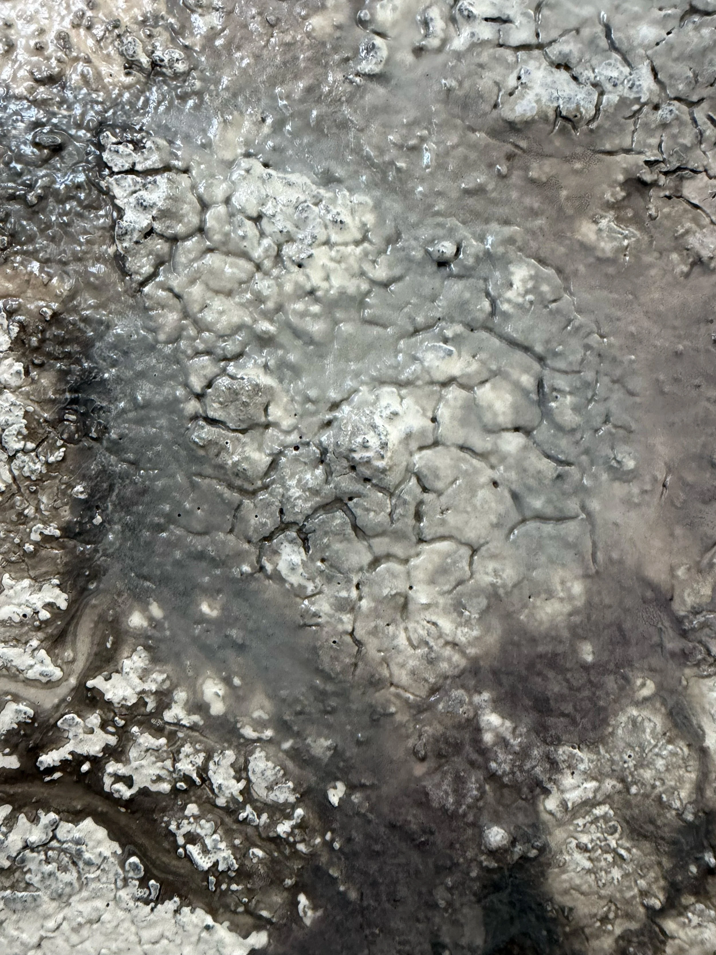 KatherineFilice_RiverWalk_Mixedmedia_36x48inches_2026_Detail7.jpg