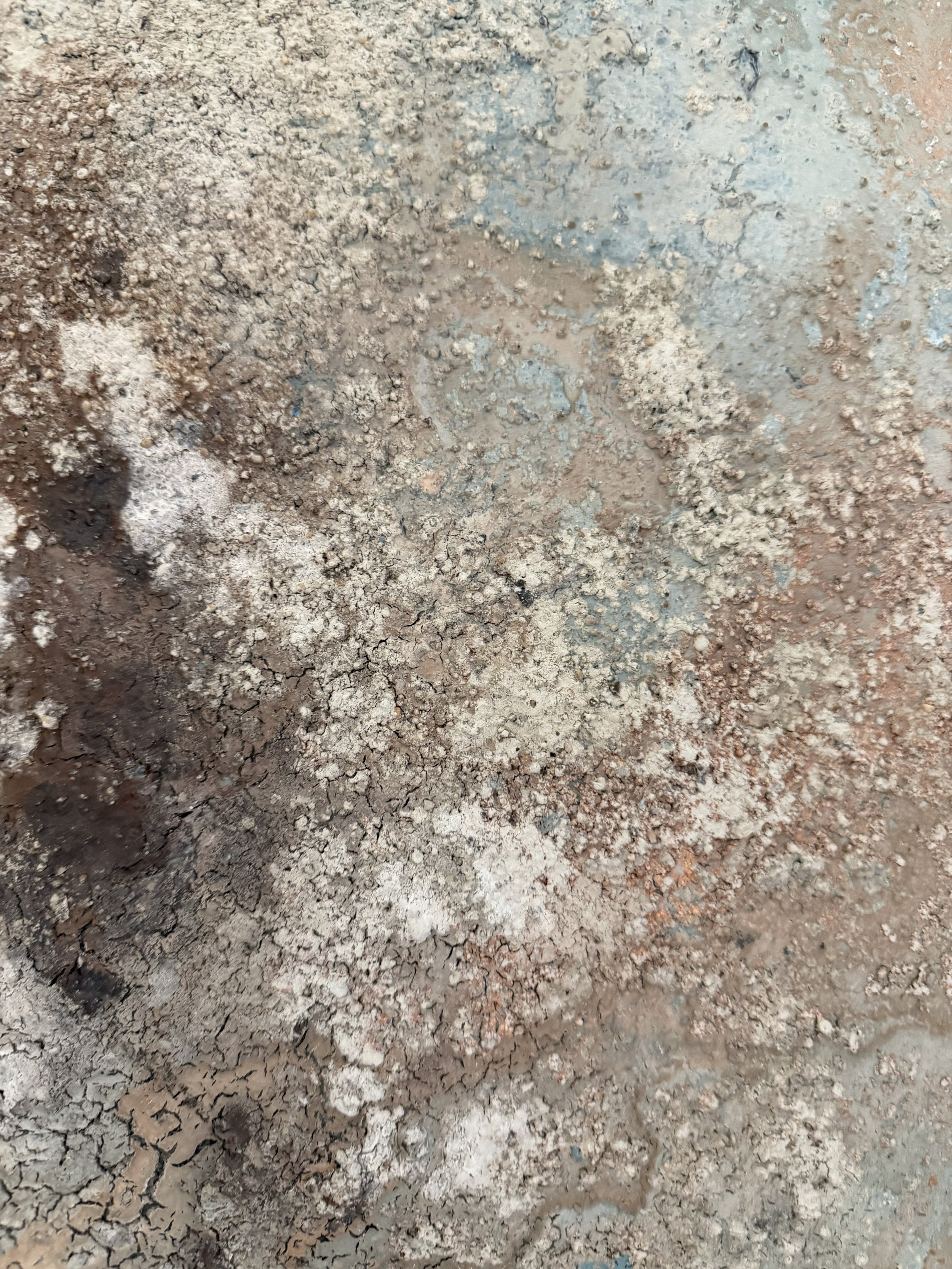 RhizomaesandReason_MixedMediaonWoodPanel_24x36x1-5_2026_detail10.jpg
