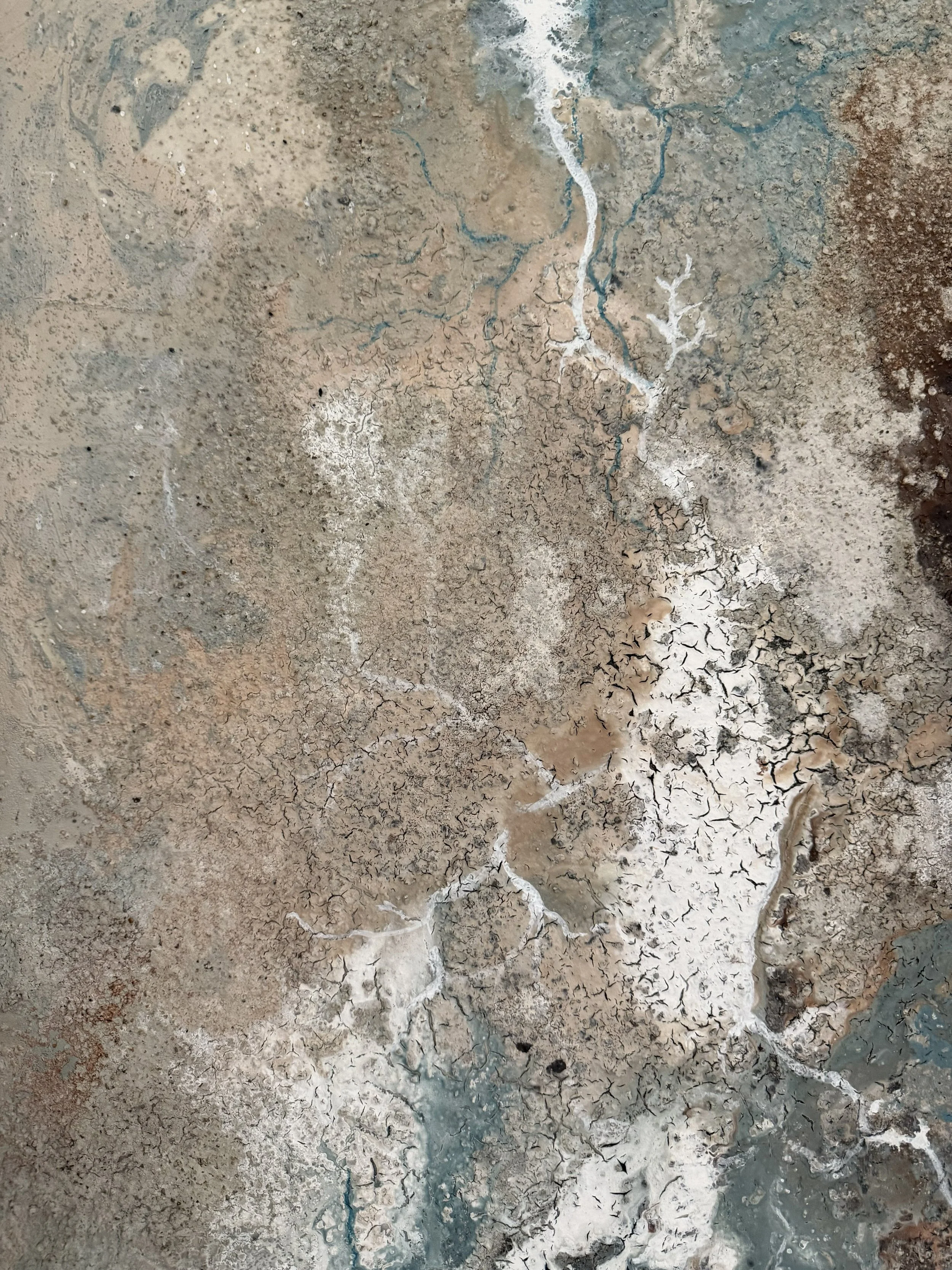 RhizomaesandReason_MixedMediaonWoodPanel_24x36x1-5_2026_detail12.jpg