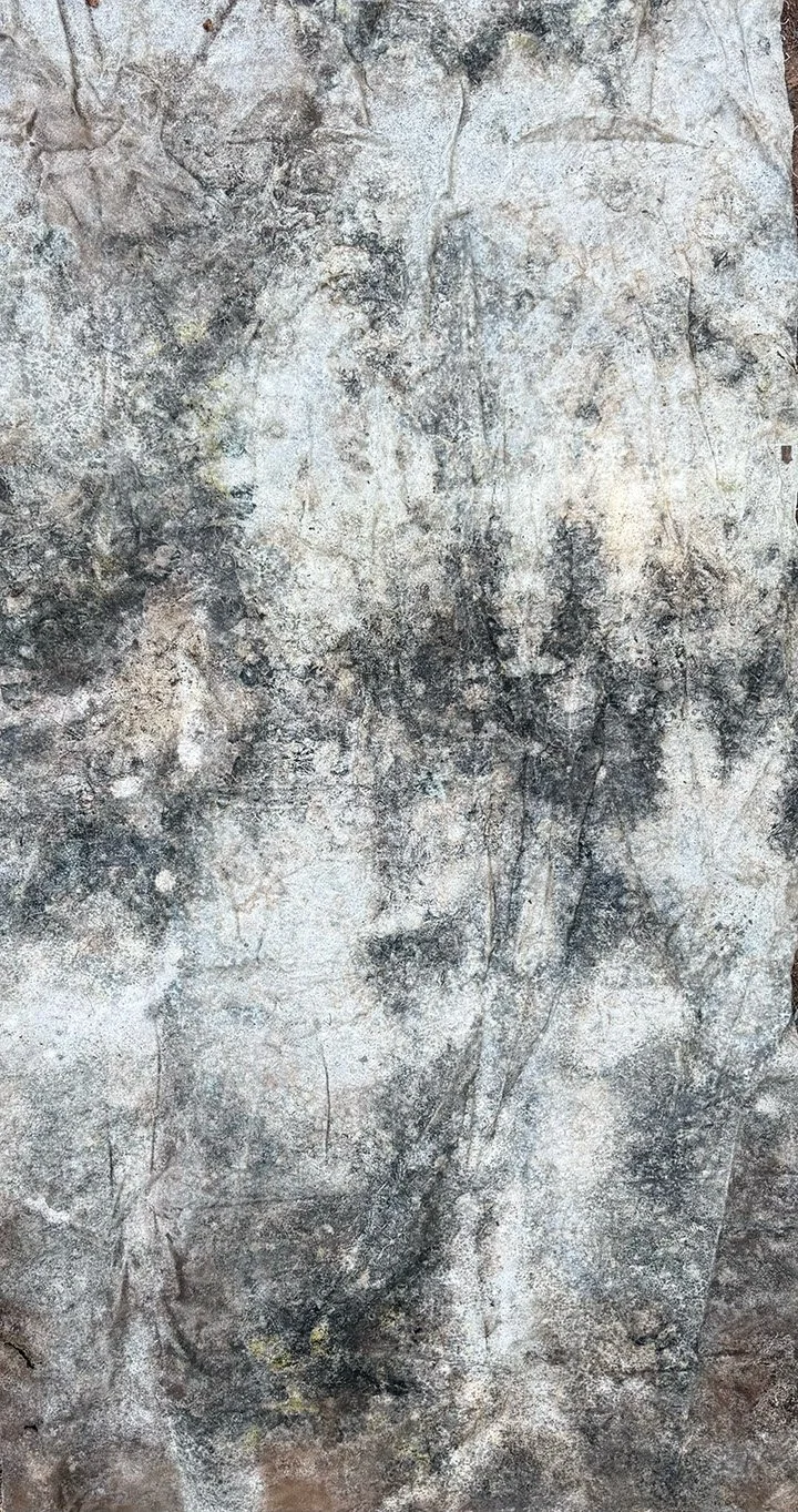 Site #1 2025 Winter Test - Plant debris rolled into the canvas prior to burial