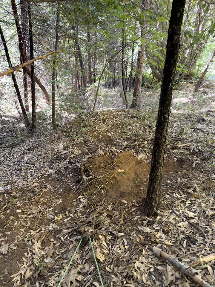 Site #1 Burial 2026