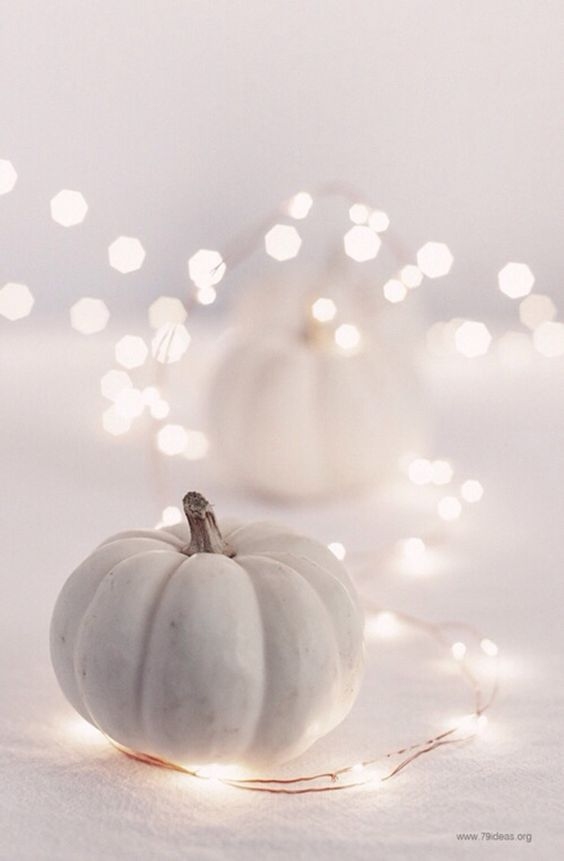 White Autumn Fairy Lights Table Decoration