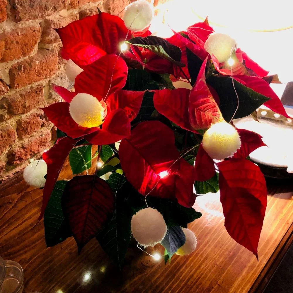 white-pom-pom-lights-3-1000.jpg