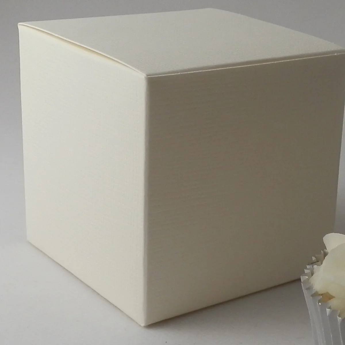 ivory-single-cupcake-boxes-close-uo.jpg