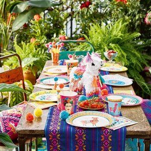 fiesta themed garden party decorations pack