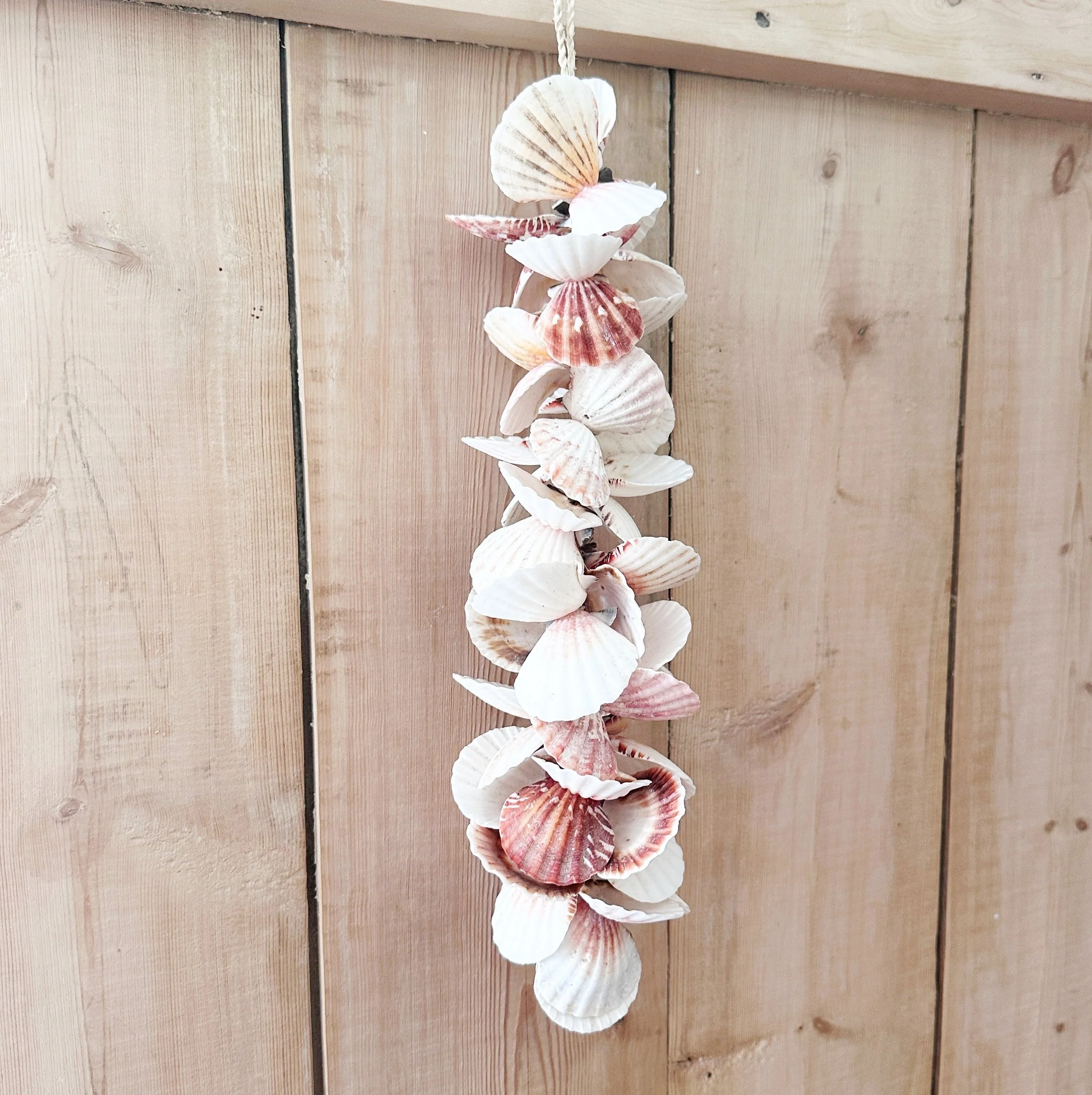 Scallop Shell Hanging Decoration