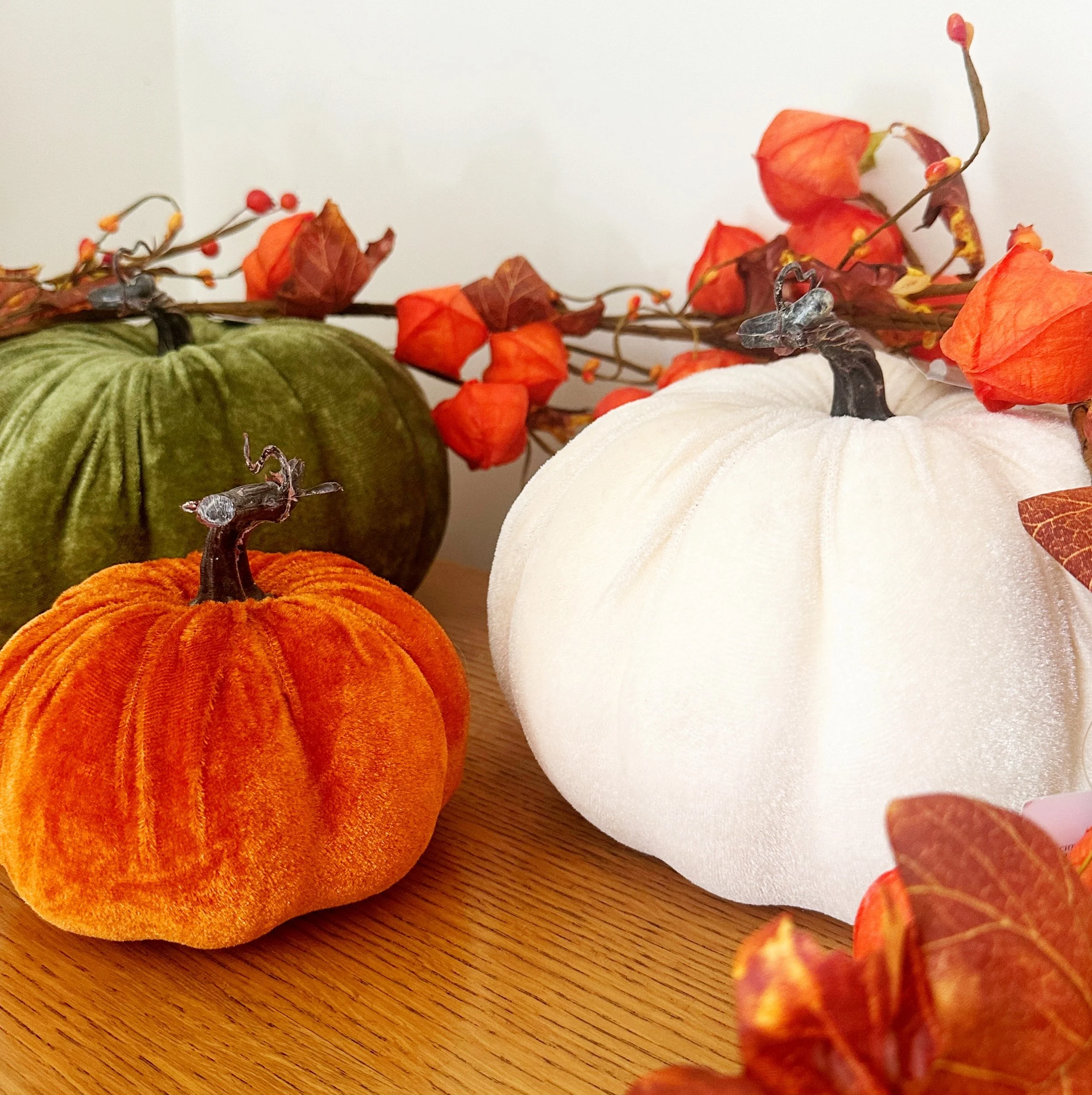 orange velvet pumpkins