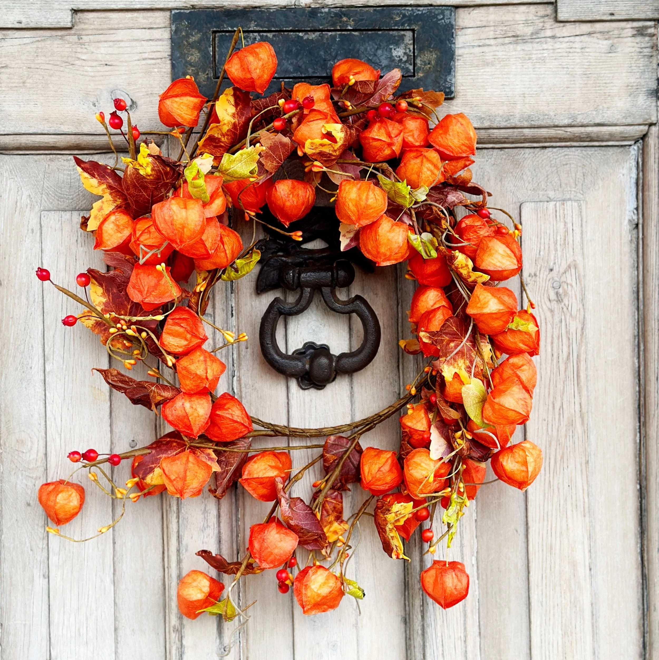 orange physalis and autumn leaves wreath
