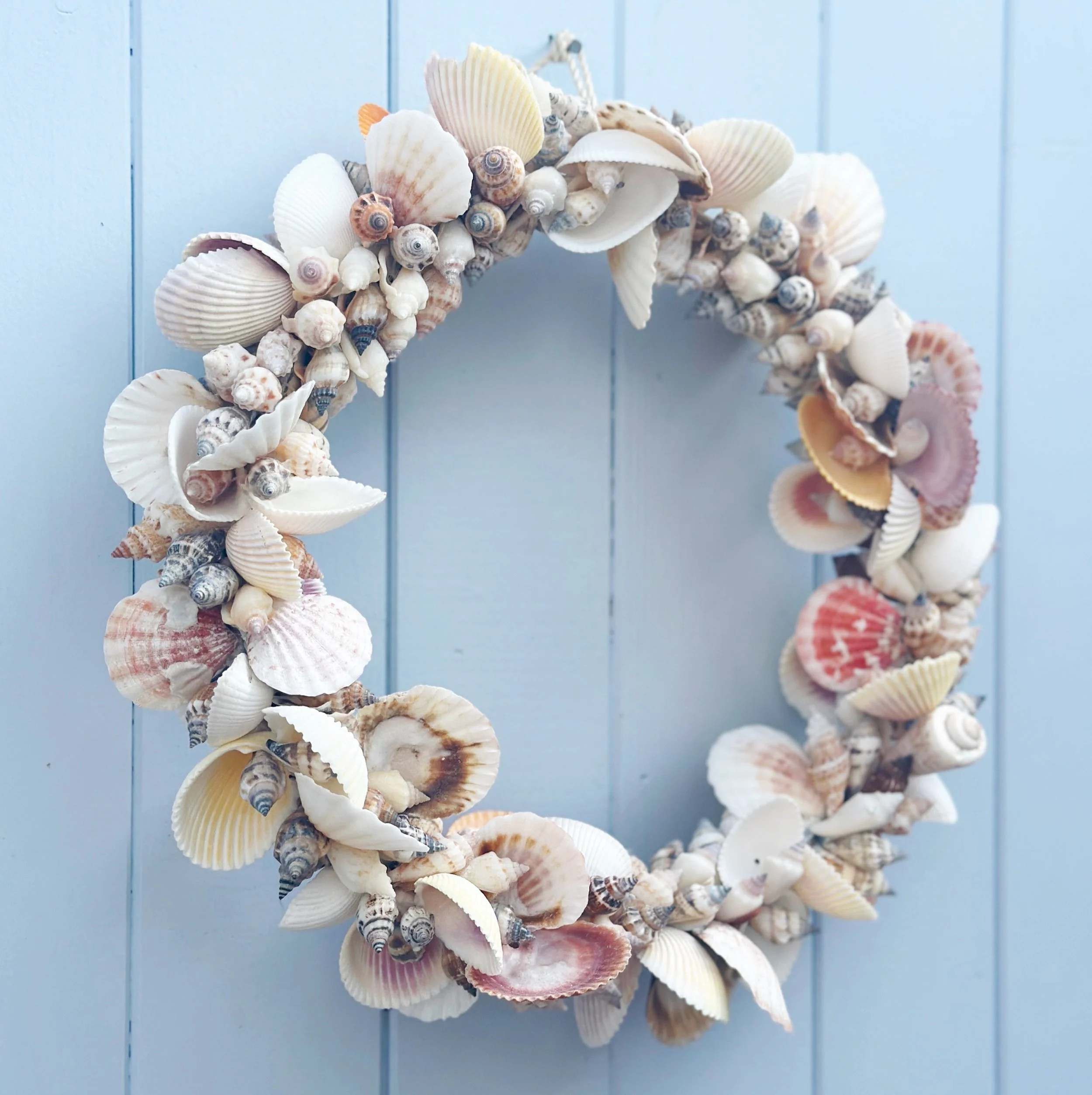 Natural Shell Wreath