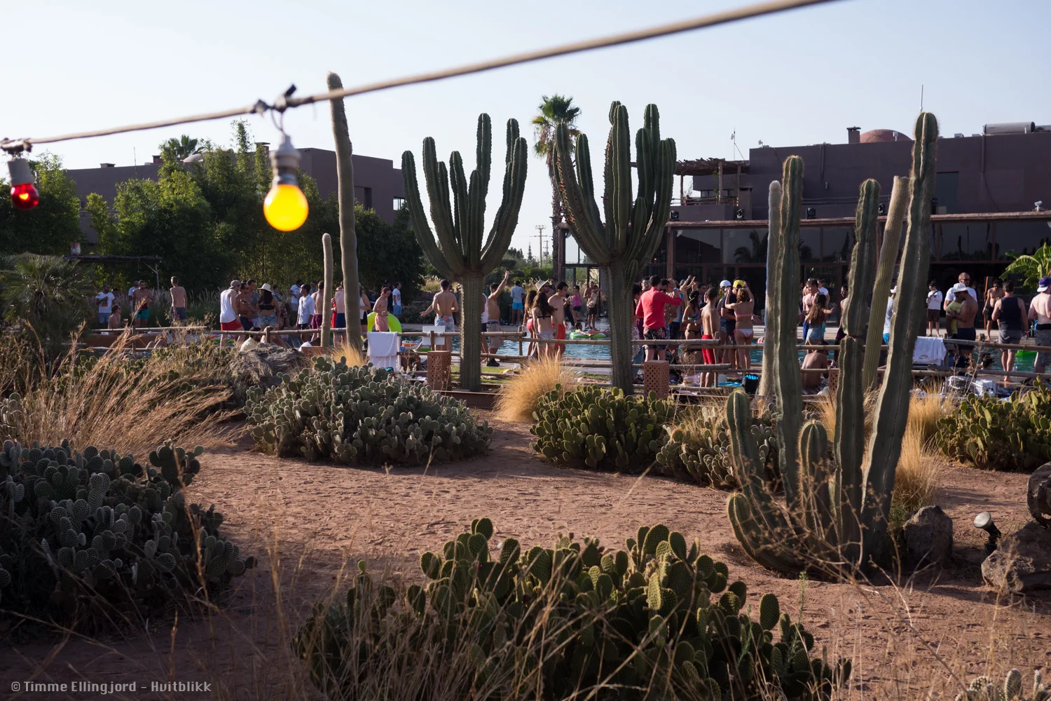 The Oasis festival in Marrakech