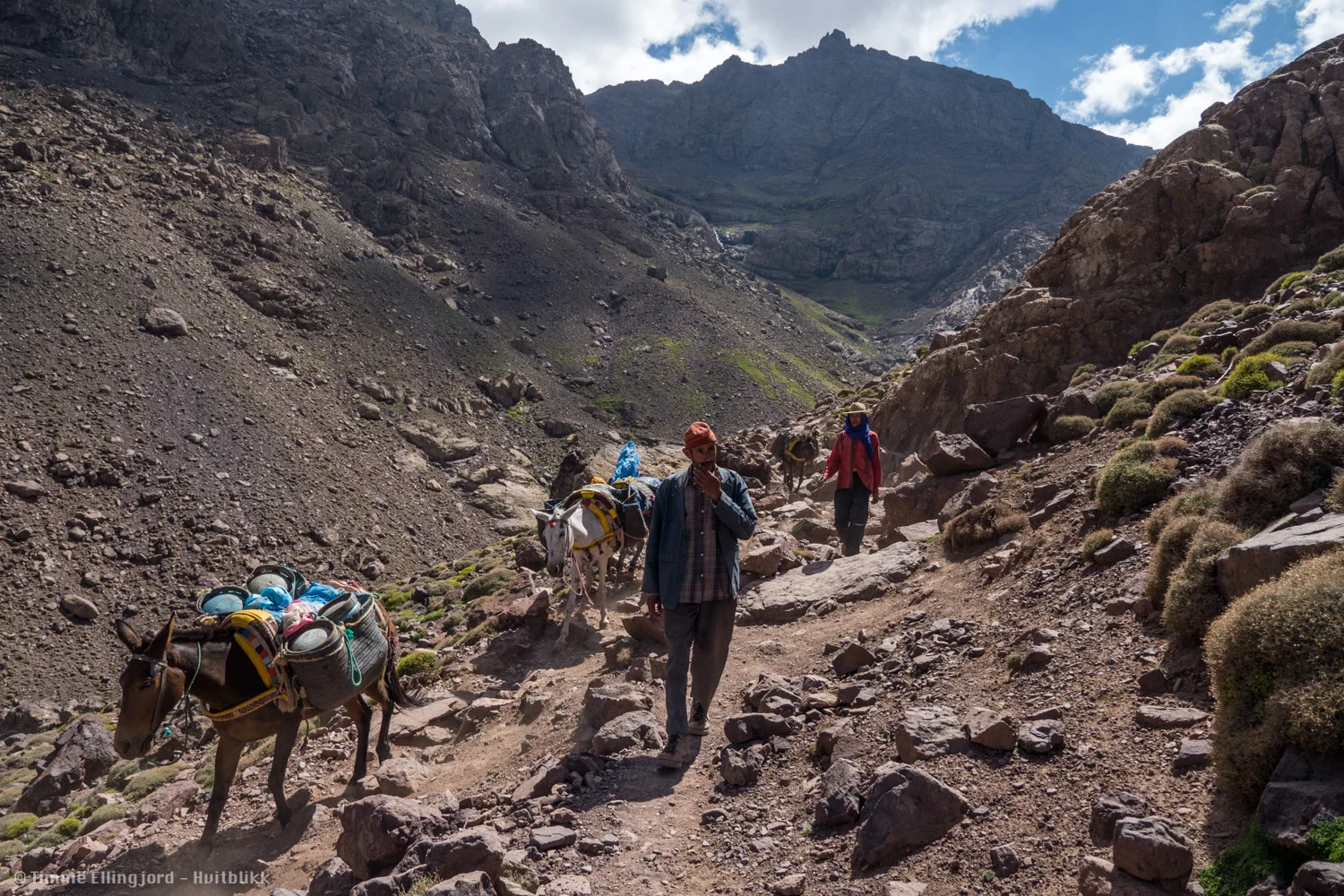 all the things going up to the mountain refuge are brought up by donkys